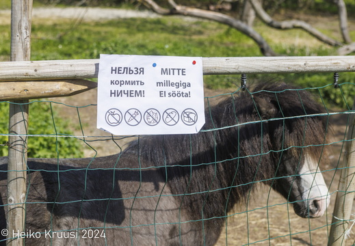 20230521-0N2A4913