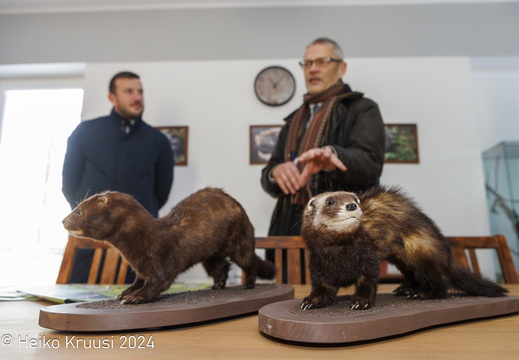 Tallinn zoo sündmused