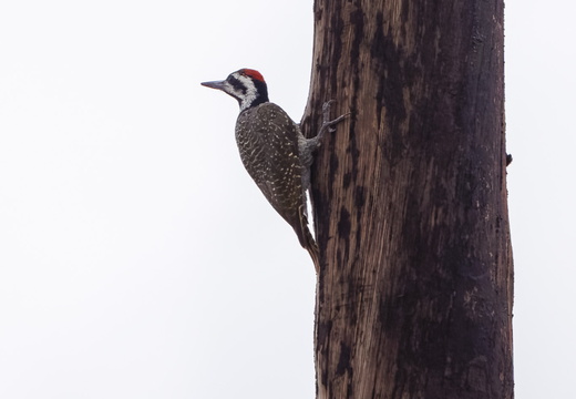 221113HK 0N2A8251-topaz