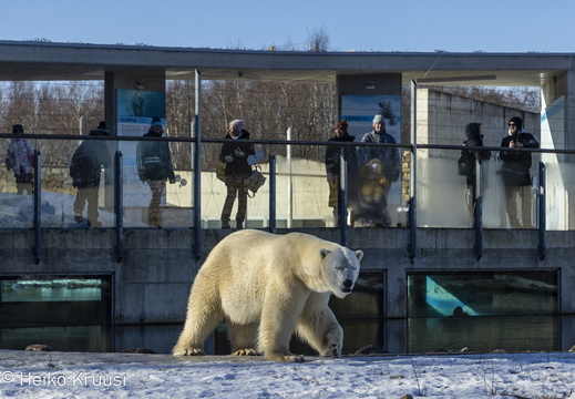 Tallinn zoo sündmused