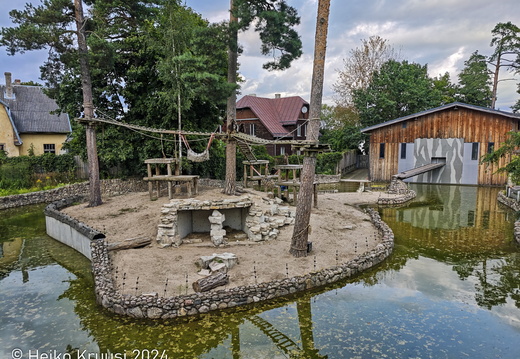 20250819-IMG 20250819 172705