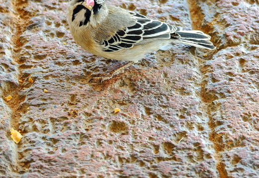 20251119-2025-11-19 12.09.35