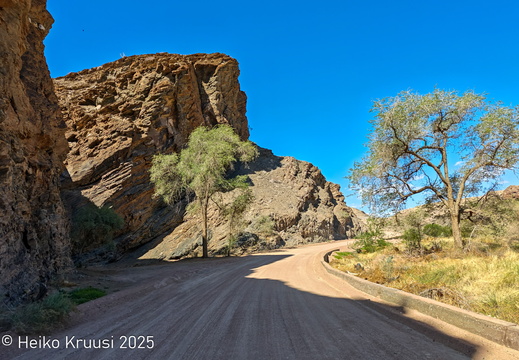 20251119-2025-11-19 15.58.32