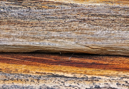 20250726-IMG 20250726 141810